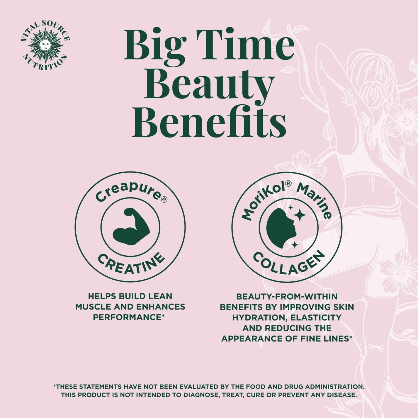 Creatine & Collagen Stick Packs